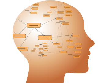 Picture of human head with a directed graph inside